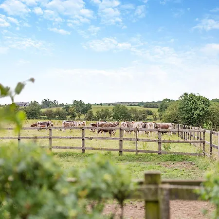 The Wheelhouse 펜션 Liverton